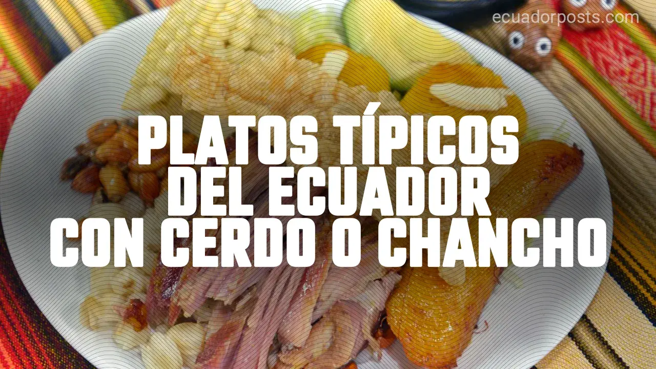 6 Platos típicos del Ecuador con cerdo o chancho | Ecuador Posts