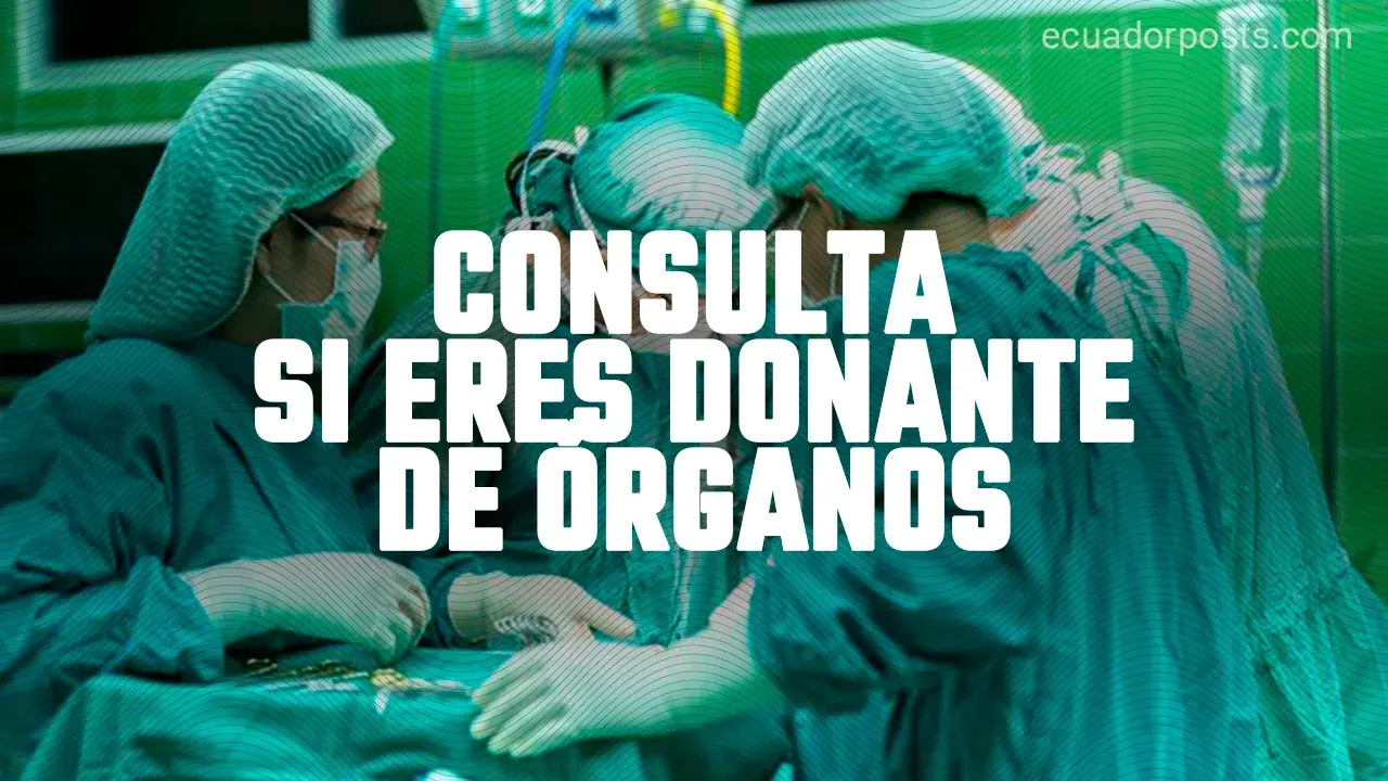 consultar-si-soy-donante-de-organos-en-ecuador